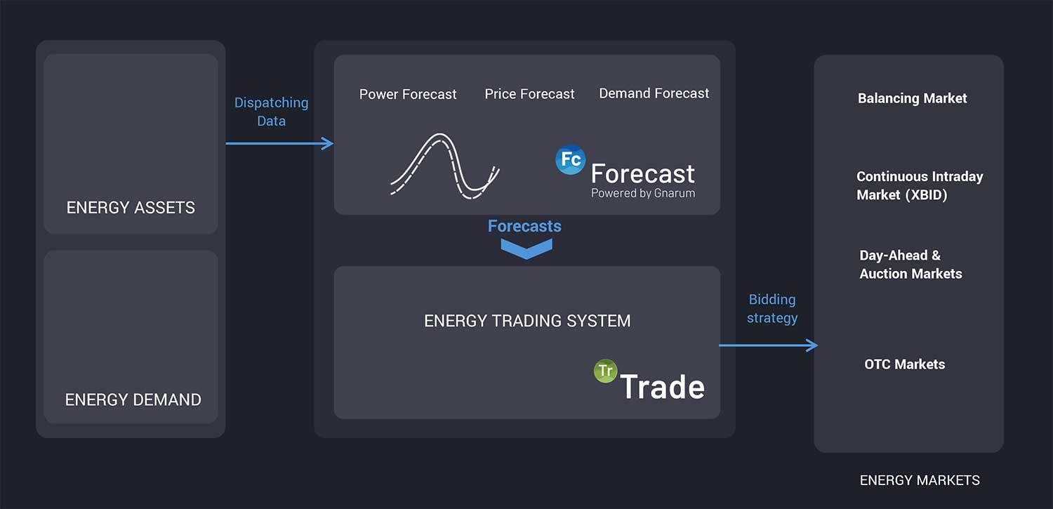 Energy-Management-Services